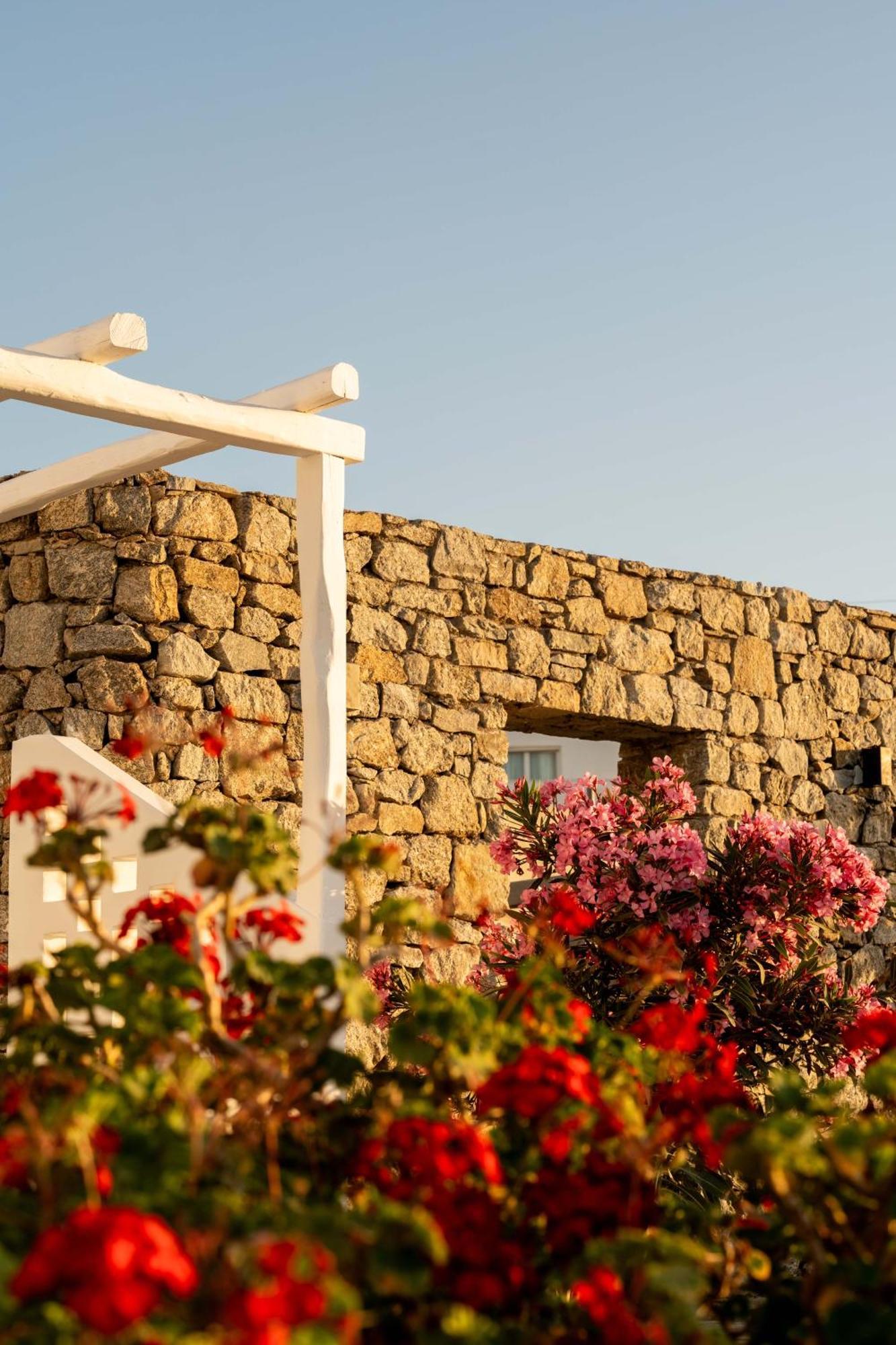Philosophy Of Mykonos Boutique Hotel Mykonos Town Dış mekan fotoğraf