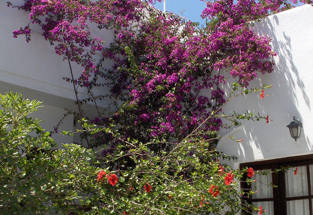 Marianna Hotel Mykonos Town Dış mekan fotoğraf